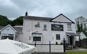 Ynyscedwyn Arms